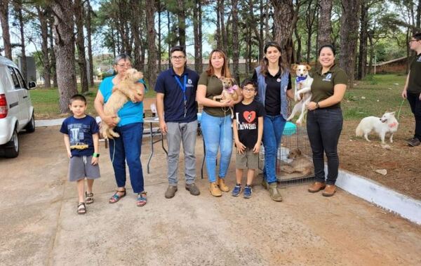 Más de 380 mascotas vacunadas y desparasitadas en jornada AutoCan | Lambaré Informativo