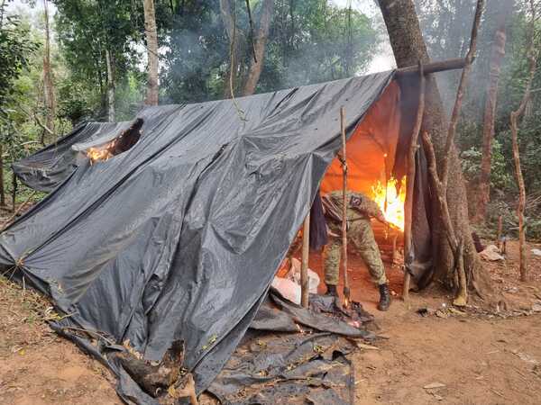 Diario HOY | Destruyeron más de 4 hectáreas de marihuana en Canindeyú