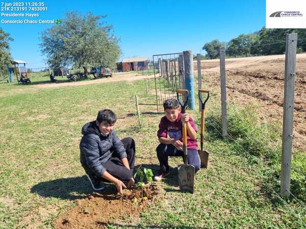 Ruta de la Leche: Cerca de 10.000 plantines se repusieron en torno a las obras