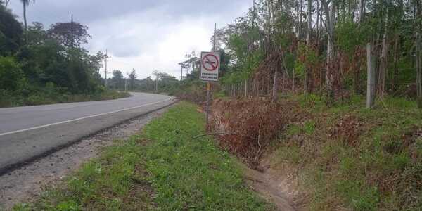 Vecinos de una compañía de San José, solicitan a la ANDE, limpiar las cunetas de los árboles podados - Noticiero Paraguay