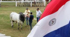 La Nación / Hay buenas expectativas para el sector pecuario en segundo semestre, señalan