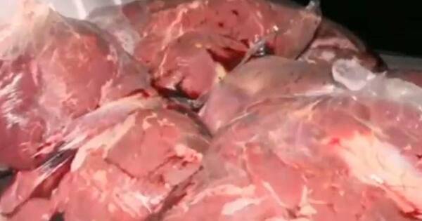 La Nación / Cae importante cargamento de supuesta carne de caballo en Luque