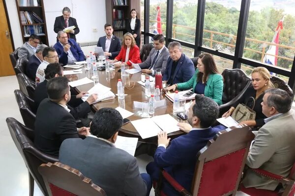 Diputados incluyen repartija para orquesta y “dignificación” para médicos - Política - ABC Color
