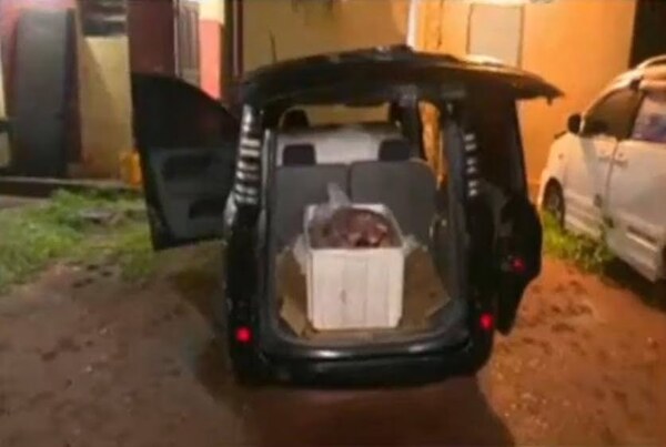 Cae importante cargamento de supuesta carne de caballo en Luque - Noticiero Paraguay