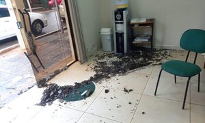 Rompen puerta de escribanía y roban dinero, en Presidente Franco – Diario TNPRESS