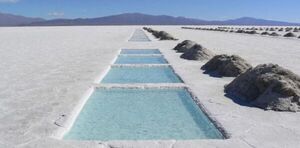 Litio en Argentina: 驴atropello a la Pachamama o insumo clave de la transici贸n ecol贸gica? - Revista PLUS