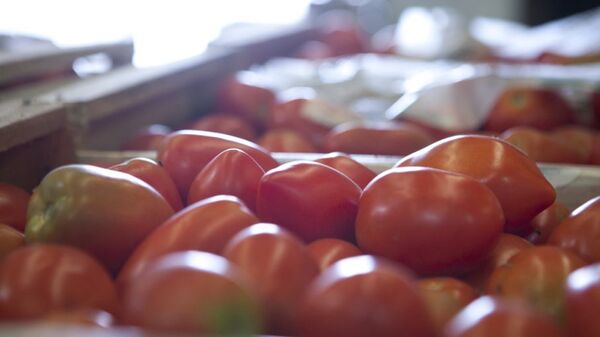 Precaución por presunta infección viral de tomates en la Argentina