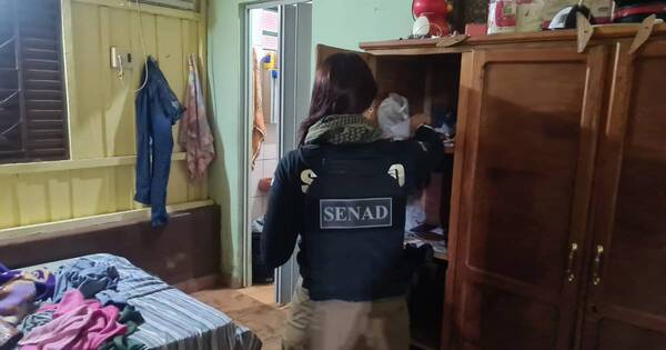La Nación / Todo lo requisado en el operativo Pavo Real pasará a la Senabico