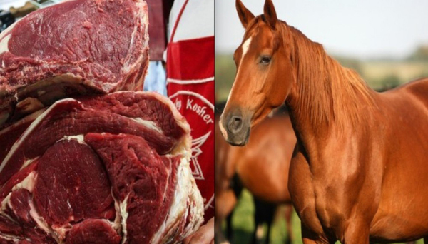Diario HOY | Incautan 300 kilos de supuesta carne de caballo en Luque