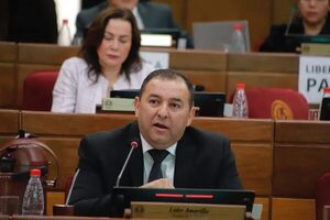 Cédulas con chip son un fato y una gran tragada de US$ 28 millones, dice senador - Política - ABC Color