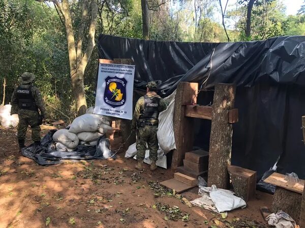 Concepción: en dos estancias destruyen cultivos de marihuana, campamentos y prensas rústicas - Nacionales - ABC Color
