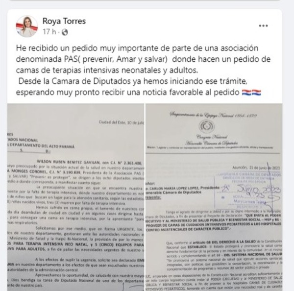 Diputada inicia trámite para camas de UTI neonatales en Alto Paraná