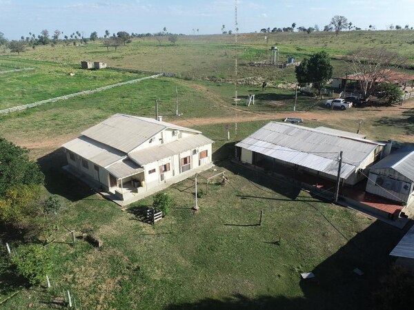 Pavo Real: Senabico ya administra bienes de Pavao - Judiciales.net