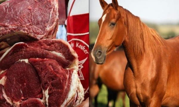 Incautan 300 kilos de supuesta carne de caballo en Luque - OviedoPress