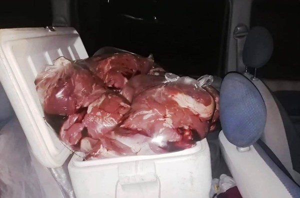 Incautan 300 kilos de carne de dudoso origen en Luque | 1000 Noticias
