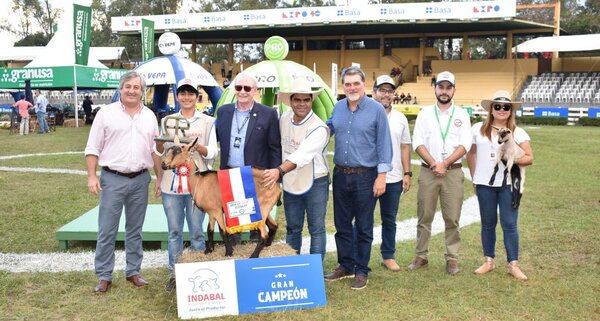 Caprinos, Equinos y Jumentos se lucieron en el primer día de jura de la Expo Ganadera