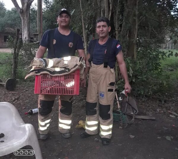 Bomberos rescataron a un karaja enjaulado y herido en Remansito - Nacionales - ABC Color