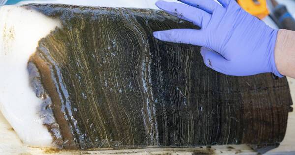 La Nación / Barro de lago canadiense indica que el Antropoceno ya empezó