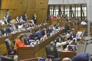 El fuerte cruce de palabras entre Johanna Ortega y Patricia Zena por Mbururú - Política - ABC Color