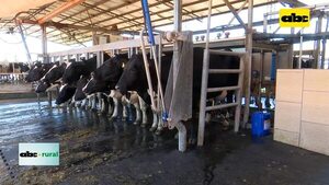 Video: Evolución de la ganadería lechera en el departamento de Caaguazú  - ABC Rural - ABC Color