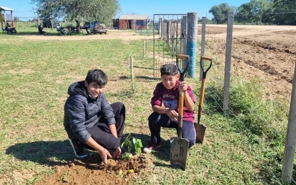 Chaco: siembran casi 10.000 plantines en torno a obras del corredor agroindustrial - Noticias del Chaco - ABC Color