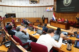 Diario HOY | Comisiones del Senado ya están conformadas y una convoca a Erico Galeano