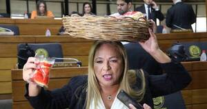 La Nación / Diputados piden dejar de lado “el circo” y respetar el recinto de la Cámara Baja