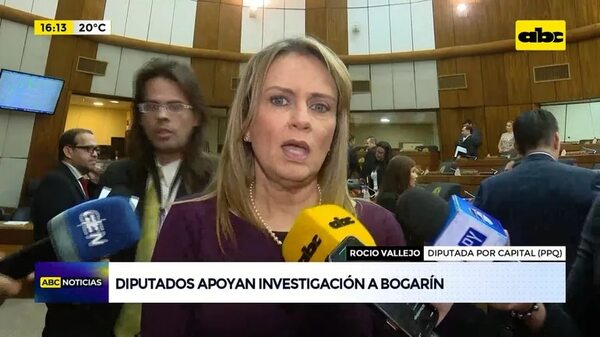 Video: Jorge Bogarín debe ser investigado, dicen diputados - ABC Noticias - ABC Color