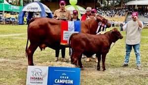 “Tacuara” Cardozo, feliz porque su vaca se consagró campeona en la Expo 2023 - Gente - ABC Color
