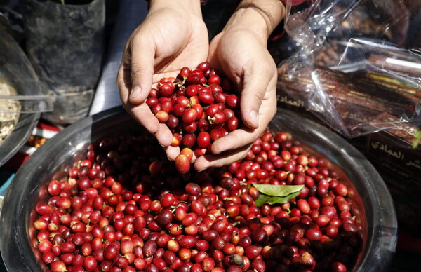 Las exportaciones brasileñas de café cayeron un 10,2 % en la última cosecha - MarketData