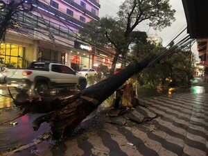 Tormenta causa caída de árboles y corte de suministro eléctrico en el Este - ABC en el Este - ABC Color