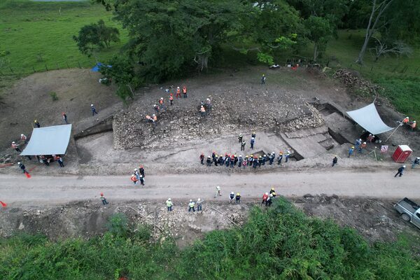 Organizaciones mexicanas piden la suspensión de la construcción de Tren Maya sobre humedal - MarketData