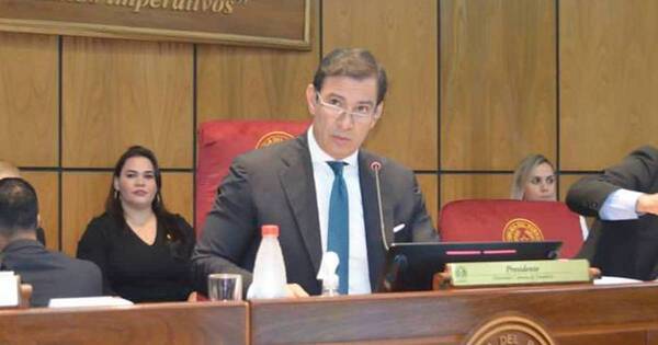 La Nación / Parlasur: designan a representantes