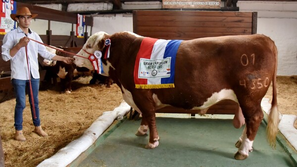 Premian a los mejores animales de la Expo y suben de valor