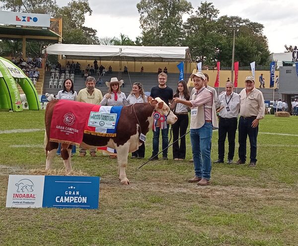 Hereford y Polled Hereford mostró el avance genético en la pista
