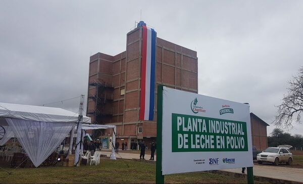 Paraguay gana terreno internacional en la industria láctea | 1000 Noticias