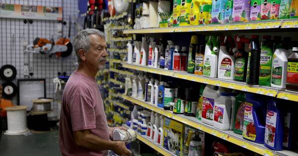 La Nación / Inflación de EE. UU. cae a su tasa más baja desde 2021