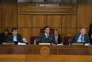 Notas de Chaqueñito y Mbururú a Asuntos Constitucionales para dictamen correspondiente | 1000 Noticias