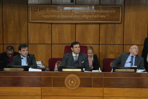 Notas de Chaqueñito y Mbururú a Asuntos Constitucionales para dictamen correspondiente | 1000 Noticias