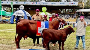 Vaca de Tacuara Cardozo salió campeona en la Expo