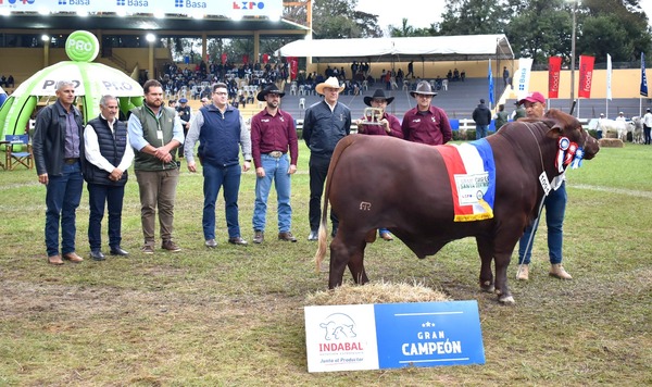 Cabaña de los Mochos y Enrique Estaque arrasaron en la pista de Santa Gertrudis