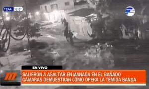 Ahora salen a asaltar en manada | Telefuturo