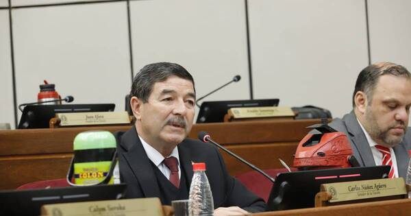La Nación / Senado vuelve a foja cero Proyecto de Reforma y Modernización de la Policía Nacional