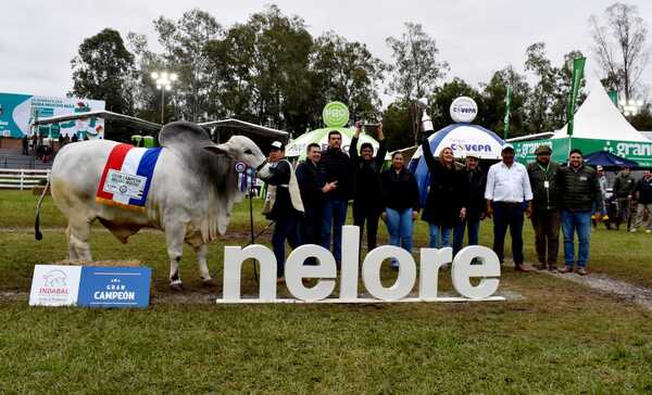 Nelore se lució en la pista de la Expo MRA: “El trabajo es brillante y merece muchos aplausos”