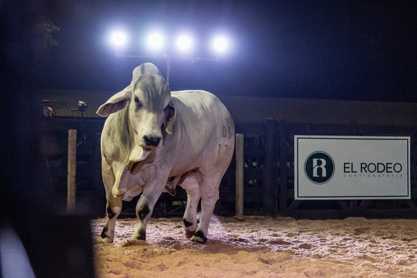 Brahman vendió el 100% de los Reproductores a Campo