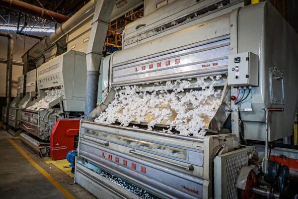 MIC aprobó proyecto industrial para producir hilos con algodón del Chaco paraguayo - ADN Digital