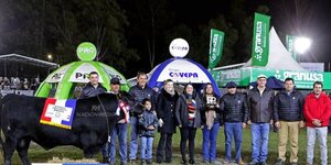 Ganadera Sofía logró Reservado de Gran Campeón con raza angus