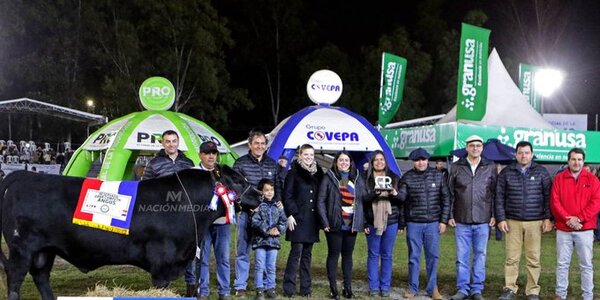 Ganadera Sofía logró Reservado de Gran Campeón con raza angus
