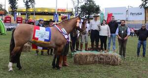 La Nación / Ganadera Sofía, entre los mejores en la raza criolla