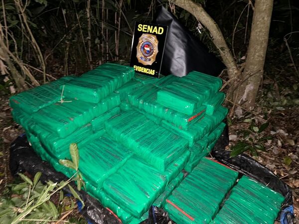 Incautan cargamento de 439 kilos de marihuana en Salto del Guairá | 1000 Noticias